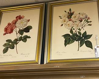 Vintage Botanical Prints