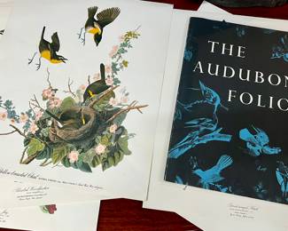 The Audubon Folio Assorted Prints