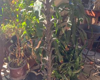 Wrought Iron Cornflower Pedestal Lamp