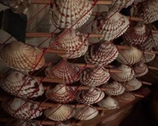 Seashell Model Ship second image