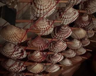 Seashell Model Ship second image