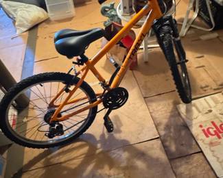 Trax Trail Mountain Bike