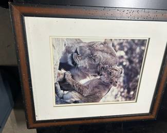 animal mom and child photos