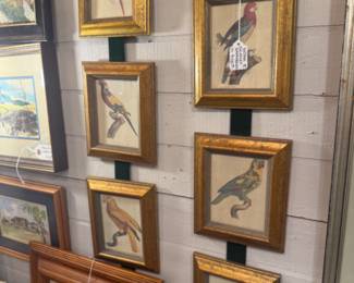 vintage Jaque Barraband bird art