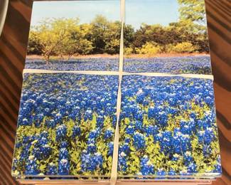 Bluebonnet coasters