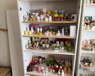 Hundreds of salt and pepper shakers. We will be selling individual and mystery boxes. 