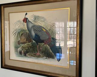 Ornithological hand colored Pheasant Lithograph