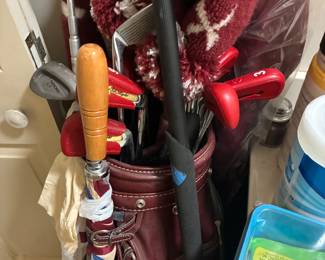 $20 Golf Clubs, Bag and all the contents!