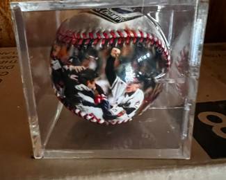 Swallows 2022 Champions Baseball