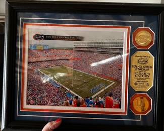 Florida Gators Stadium 