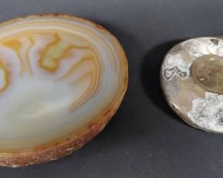 SH566Ammonite Fossil And More