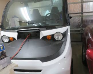 2017 GEM Golf Cart