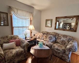 Living room furniture 