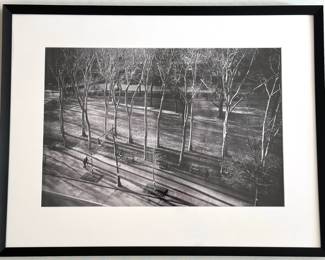 Eugenie Johnson (B1939 American) Original Photograph Of City Park
Lot #: 54