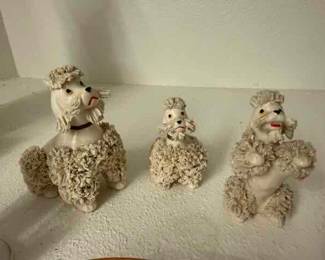 Spaghetti Poodles 