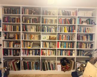 We have BOOKS!  If you love world history- you will be excited.  This is about 1/4 of what we have.  