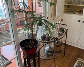 Dining Room 
Plant
Bar cart 