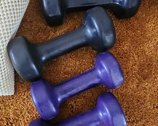 Dumbbell Set (2 Black, 2 Purple, 5 lbs each)