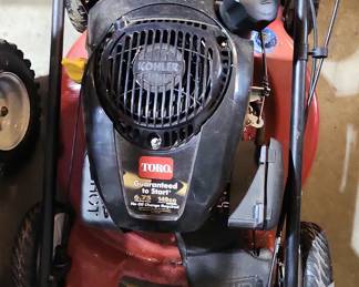 Toro Recycler 22" Self-Propelled Lawn Mower