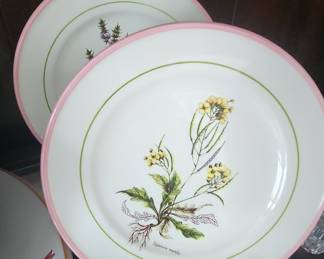 Portmeirion Botanic Garden Plates