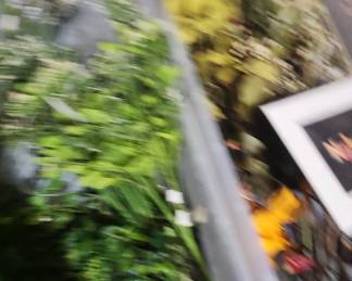 Dried Flower Arrangement