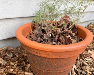 87 OutdoorTerraCottaPot