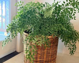 117 ArtificialPlantsinWickerBasket