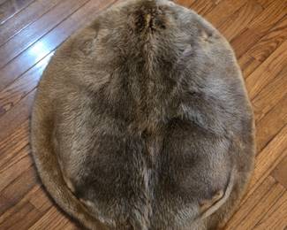 Tanned Beaver Pelt