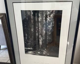 Axel Adam’s framed print