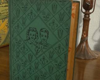 The Bobbsey Twins Childrens Book