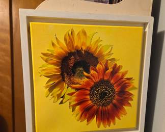 Two Sunflowers Framed Canvas Print