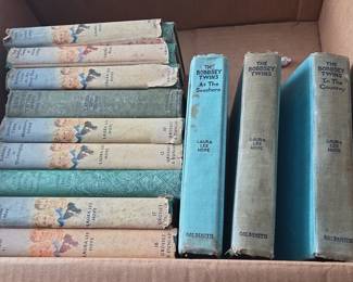 The Bobbsey Twins Book Collection