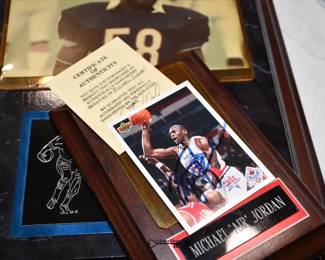 002Some Highlights Naperville Estate Sale BW