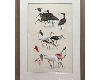 Lot 034   
Diane Pierce (Florida 1939-) Egrets and Cranes, 1983, Watercolor Lithograph