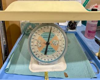American Family Nursery Scale