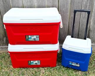 Igloo Ice Chest Lot