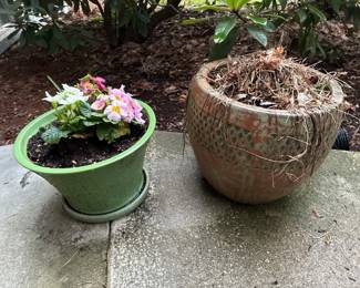 43Mar 10 2026 06 50pmp9pZ