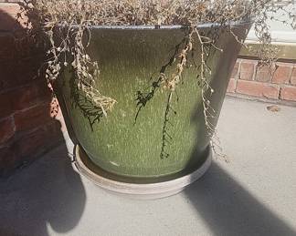  Planter Pot with Saucer