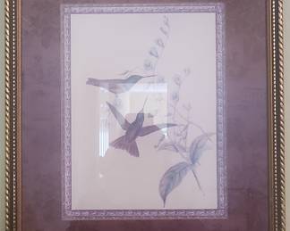 Framed John Gould Lithograph of Hummingbirds