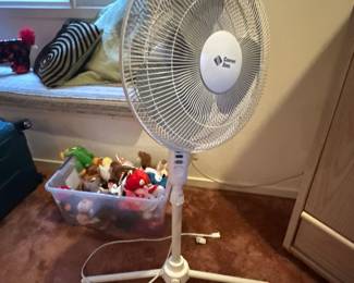 Fan
