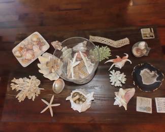 Sea shells, coral and geodes.