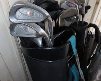 Ladies golf clubs.