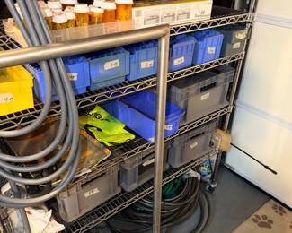 Items Located In The Garage