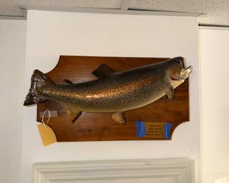 Items Located In The Finished Area Of The Lower Level 