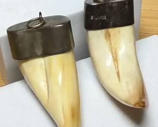 Pair of Silver Tipped Tooth Pendants 