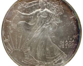 2 - 1993 Eagle Silver Dollar