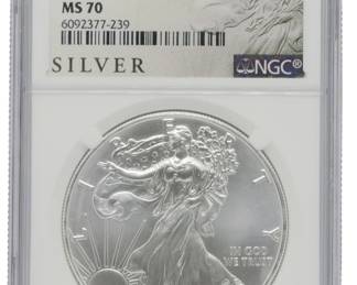 9 - 2021(W) MS70 Eagle Silver Dollar in Case