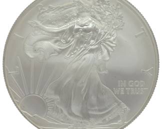 4 - 2008 Eagle Silver Dollar