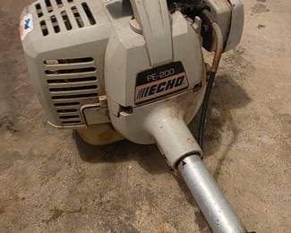 Echo PE-200 edger.
