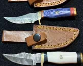 Damascus knives. https://modestlambestatesales.hibid.com/